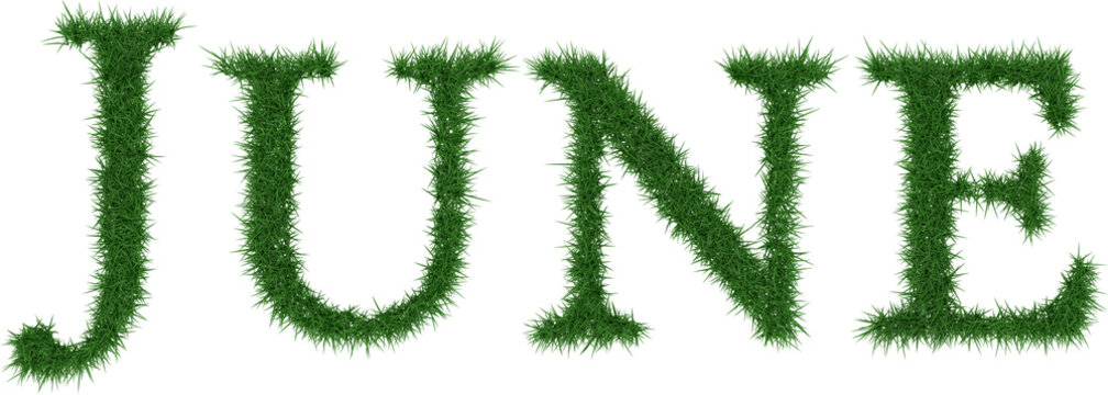 June - 3D rendering fresh Grass letters isolated on whhite background.