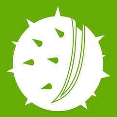 Chestnut icon green
