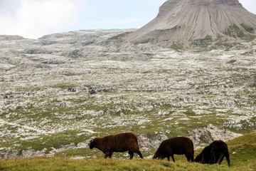 Dolomite's landscape -Puez odle natural park