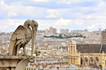 Gargoyle on Notre Dame de Paris on background of skyline of Paris, France.