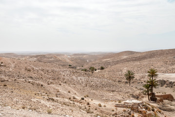 A dry desert landscape with palm trees and hills on a cloudy day