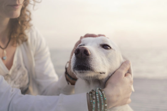 young woman lovingly caresses her white dog