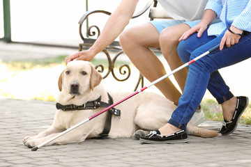 Young man and blind woman with guide dog sitting on bench in park