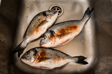 Framed and seasoned fresh dorada fish
