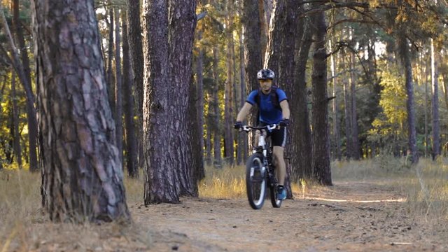 man cyclist rides paths in the Pine Forest