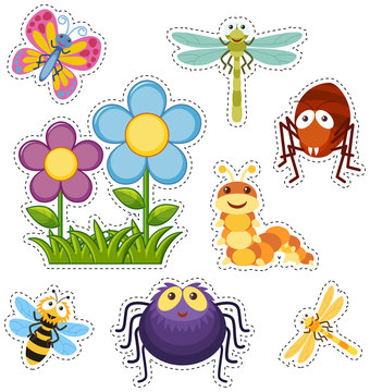 Sticker set with flowers and bugs