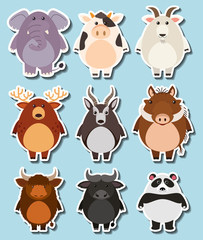 Sticker set with many wildlife on blue background
