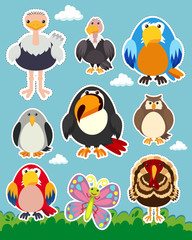 Sticker set with different types of birds