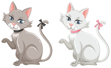 Cats with gray and white fur