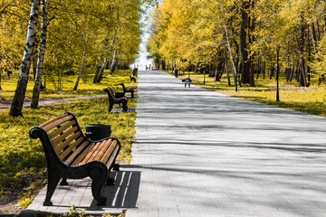 Autumn alley in the park