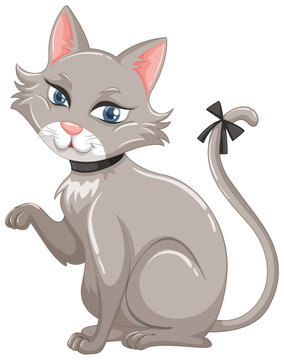 Gray cat with black ribbon on tail