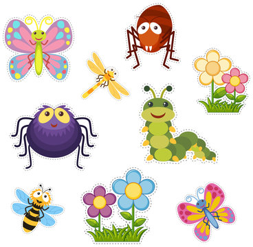 Sticker design with bugs and insects