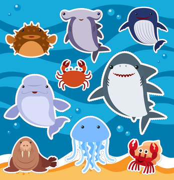 Sticker design with cute sea animals