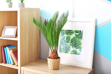 Sago palm and framed picture of tropical leaves on bookcase in house