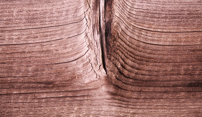 Wooden texture