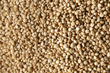 White quinoa grains, closeup