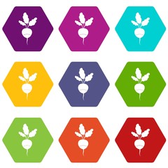 Fresh radish icon set color hexahedron