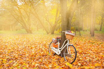 vintage bicycle with basket picnic set hot drinks in autumn park background copy space