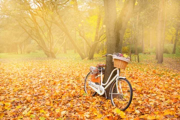 Papier Peint photo Vélo vintage bicycle with basket picnic set hot drinks in autumn park background copy space