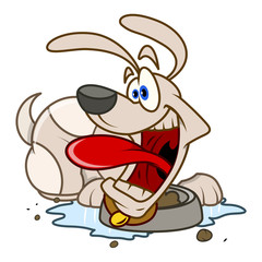 Surprised Puppy Eating Food