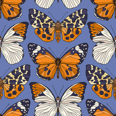 Butterflies. Colorful seamless pattern, background.