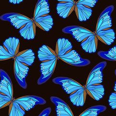 Obraz premium Butterflies. Colorful seamless pattern, background.