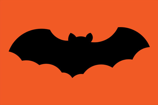 Flying bat silhouette isolated on orange. Vector illustration.