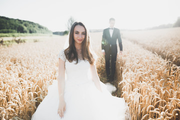 Wedding couple posing on sunset at wedding day. Bride and groom in love