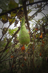 Jardin extraordinaire 