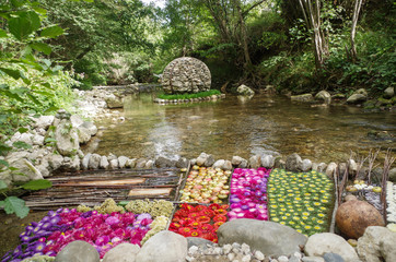 Jardin extraordinaire 