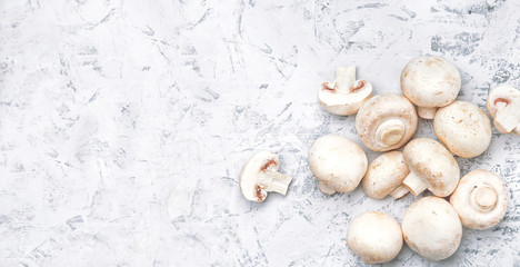 Fototapeta na wymiar Champignon on a light background. Fresh champignons on a background