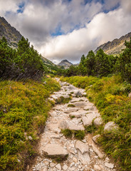 Fototapeta na wymiar Rocky Hiking Trail in the Mountains with Mountain Peak on Cloudy Day. Mlynicka Valley, High Tatra, Slovakia.