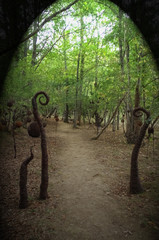 Jardin extraordinaire