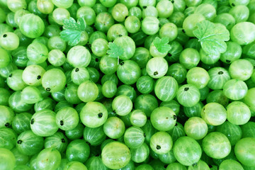 texture of green berries