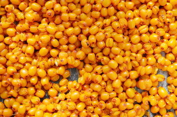 Berry sea buckthorn