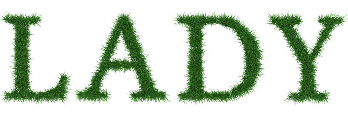 Lady - 3D rendering fresh Grass letters isolated on whhite background.