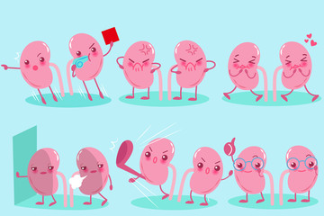 cute cartoon kidney