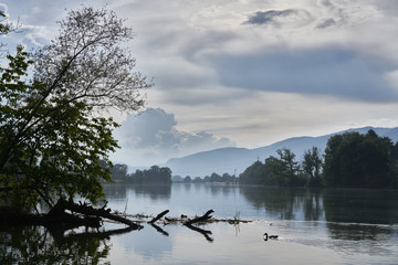 Die Aare bei Solothurn (Schweiz)