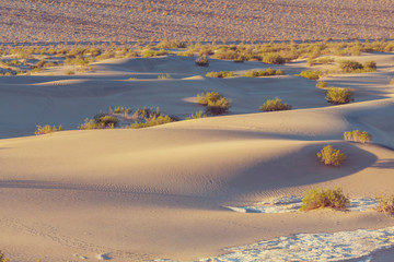 Sand dunes in California