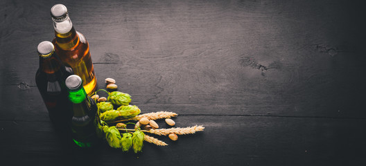 A great selection of beers of dark and light beer and refreshments for beer Top view. Free space for text.