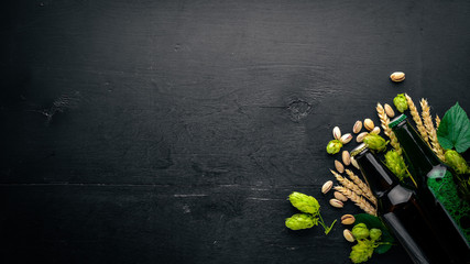 A great selection of beers of dark and light beer and refreshments for beer Top view. Free space for text.