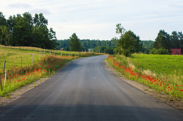 Rural countryside road with red poppies, meadows, trees and mountains
