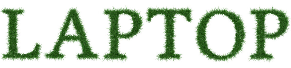 Laptop - 3D rendering fresh Grass letters isolated on whhite background.