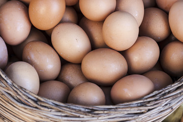 Basket full of eggs