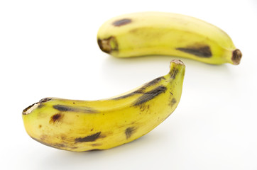 ブラジルバナナ