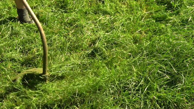 man mows the grass with a gasoline trimmer. Slow motion
