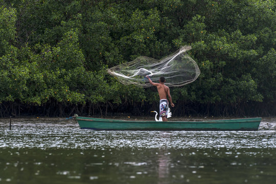 Pescador jogando tarrafa e Garça-branca-grande (Paisagem) | Fishing net and Great Egret  photographed in Vitoria, Espírito Santo - Southeast of Brazil. Atlantic Forest Biome.