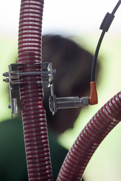 vendange vinification vin