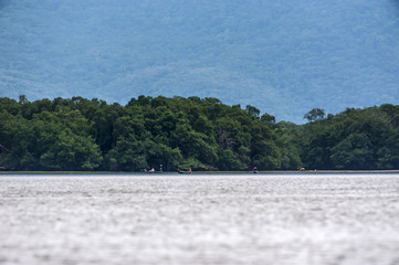 Mangue (Ecossistema) | Mangrove  photographed in Vitoria, Espírito Santo - Southeast of Brazil. Atlantic Forest Biome.