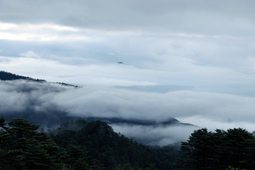 Naklejka na ściany i meble Beautiful landscape of Himalayan ranges covered with white clouds, Sandakphu, West Bengal India